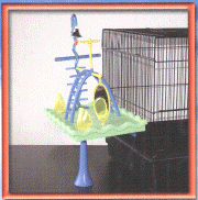 Insight Play Gym
